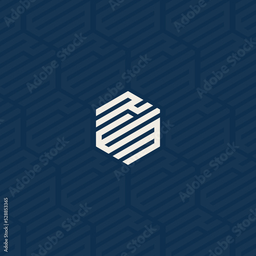 RWM or REM hexagonal logo with background pattern design