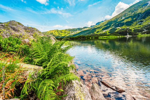 Tatra National Park in Poland. Tatra mountains panorama, Poland colorful flowers and cottages in Gasienicowa valley (Hala Gasienicowa), Zielony Staw Gąsienicowy