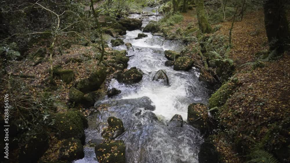 River Kennall Running Through Kennall Vale Woodland In Cornwall, England, UK - high angle River Kennall Running Through Kennall Vale Woodland In Cornwall, England, UK - high angle