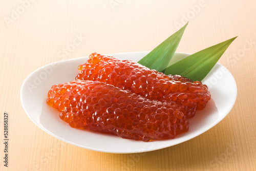 筋子