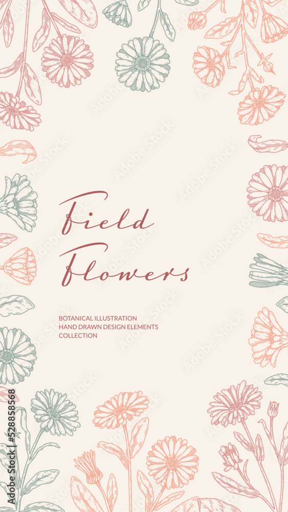 Summer flowers vertical packaging design with hand drawn elements. Vector illustration in sketch style Summer flowers vertical packaging design with hand drawn elements. Vector illustration in sketch style