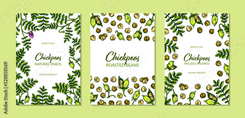 Set of colorful vertical chickpeas designs. Hand drawn illustration in colored sketch style. Botany template for packaging, banner, poster