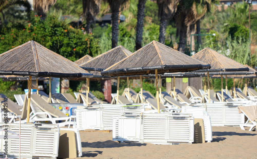 Sunbeds with sun loungers on the beach