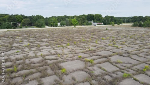 Cement overgrowth in Muskegon, mi. photo