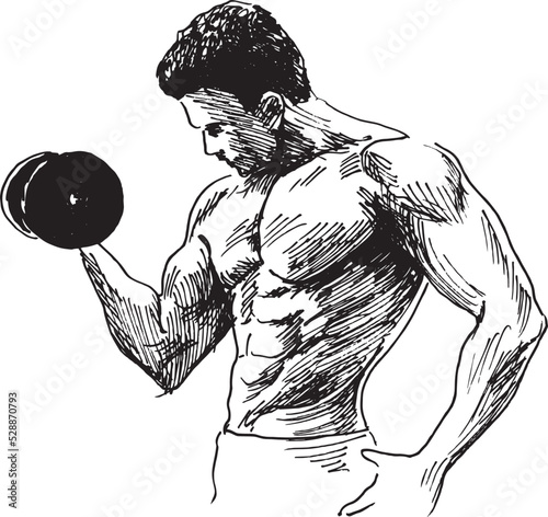 Hand sketch of a bodybuilder. Vector illustration.