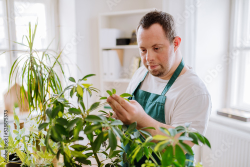 Fototapet Young man with Down syndrome taking care of plants, working in fowershop