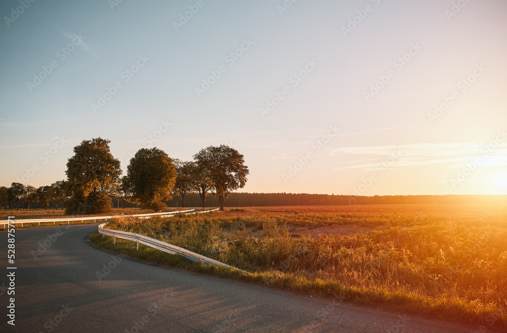 Empty asphalt road at sunset with trees along. Summer trip in the country concept.