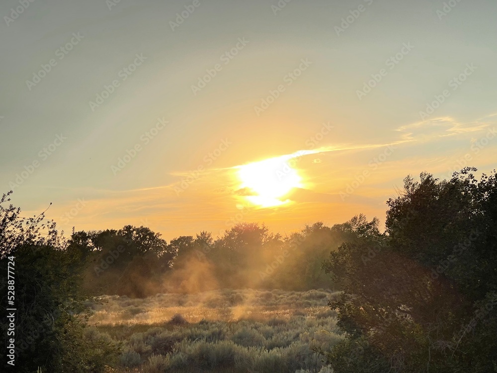 Fototapeta premium Orange Sun Set 