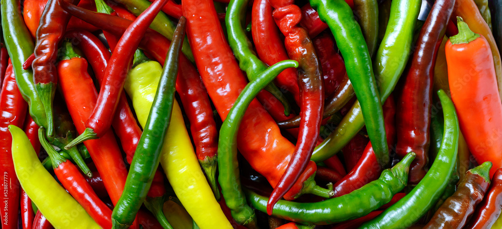 Abundance of red, yellow and green hot peppers, natural background. Banner. Abundance of red, yellow and green hot peppers, natural background. Banner.