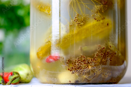 Cuadro en lienzo Tasty salt cucumbers with herbs and muddy brine in a glass jar, naturally fermented with lactic acid