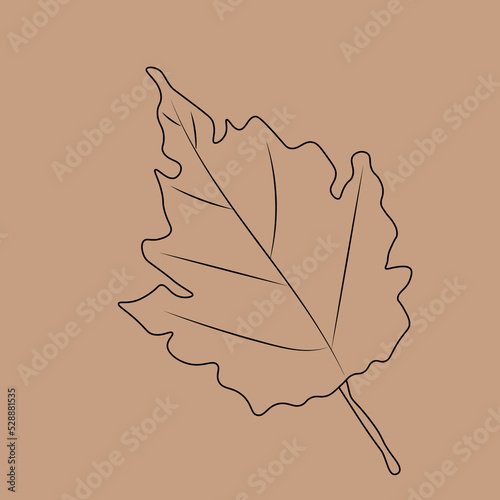 Set of hand drawn leaf outlines. Vector illustration. on the autumn background
