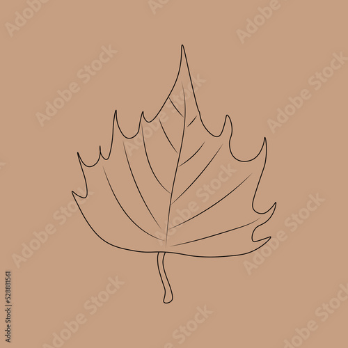 Set of hand drawn leaf outlines. Vector illustration. on the autumn background