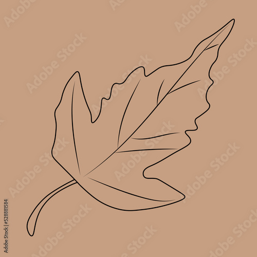 Set of hand drawn leaf outlines. Vector illustration. on the autumn background
