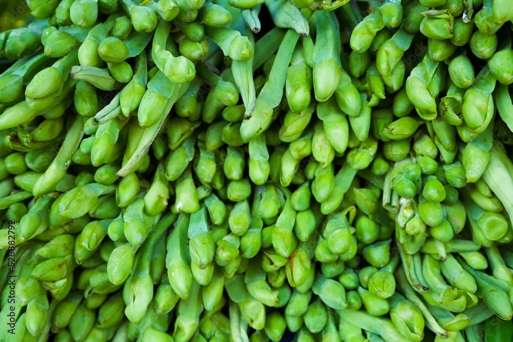 green vegetables piled up that the merchant sells green vegetables piled up that the merchant sells