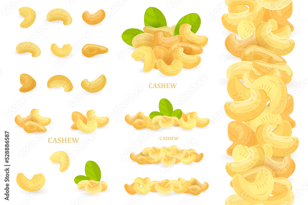collection of isolated nutty groups. set of single dried nuts. r collection of isolated nutty groups. set of single dried nuts. r