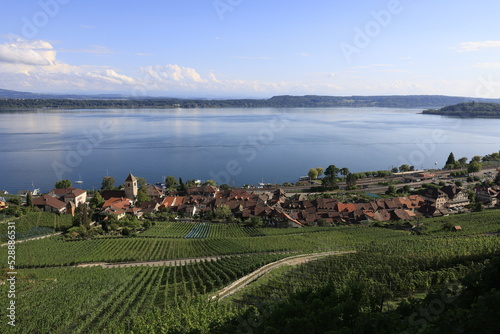 twann am bielersee schweiz rebberg kirche photo