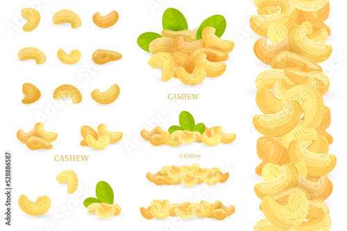 collection of isolated nutty groups. set of single dried nuts. r