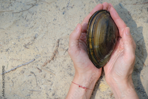 Freshwater mussel shell (anodonta cygnea) in woman's hand. Red bracelet with the inscription love on a woman's wrist. Sand background. Women's intimate health concept. Copy space.  photo
