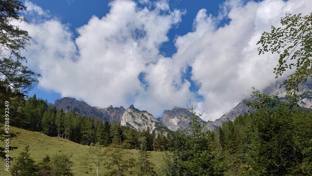 Auf der Alm