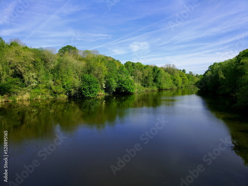 where trees and water boarder