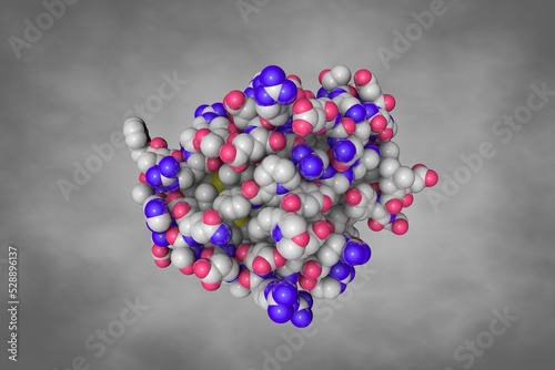 B-cell Lymphoma 2(BCL-2) in complex with the novel orally active inhibitor S55746. Space-filling molecular model. Rendering based on protein data bank entry 6gl8. 3d illustration