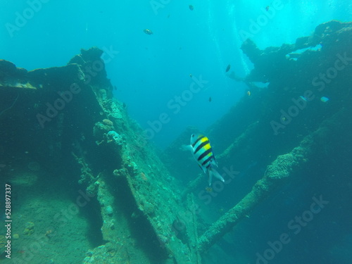 Tulamben is a quiet seaside village that has become world famous for the hugely popular USAT Liberty Shipwreck which most scuba divers regard as the best shore entry wreck dive in the world. © Optimistic Fish