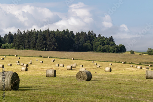 Obraz na plátně Paysage aux meules de foin