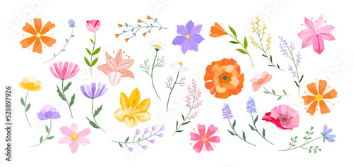 Vector floral illustration. Set of leaves, wildflowers, twigs, floral arrangements. Beautiful compositions of field grass and bright spring flowers. © MySunShine