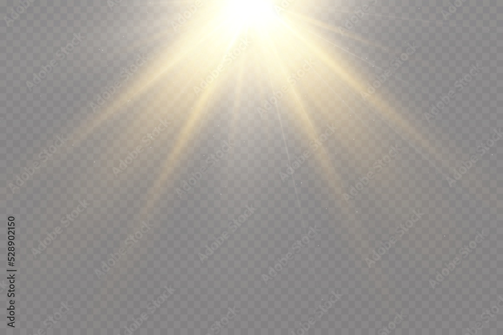 Golden particles of light. Golden light. Light flare.Stars isolated on transparent background.