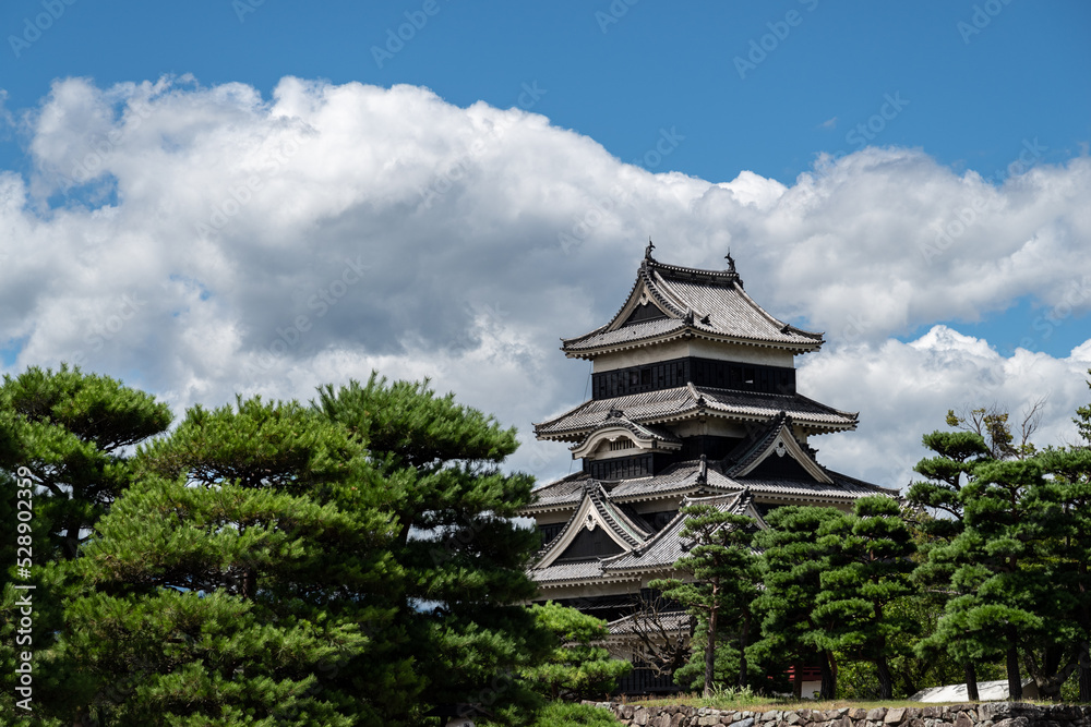 Fototapeta premium 松本城
