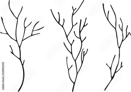 Bare tree branch silhouettes. Vector black branches without leaves