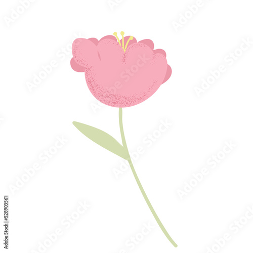 pink flowers in flat style. Peony, rose, tulip. Vector colorful design