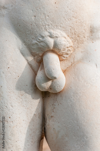 genitales masculinos en educación sexual escolar de escultura blanca de escayola photo