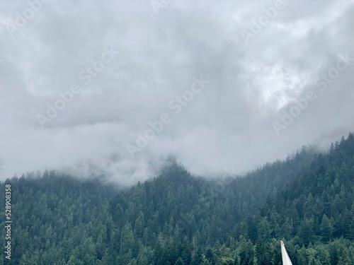 fog in the green mountains © Zaheeruddin
