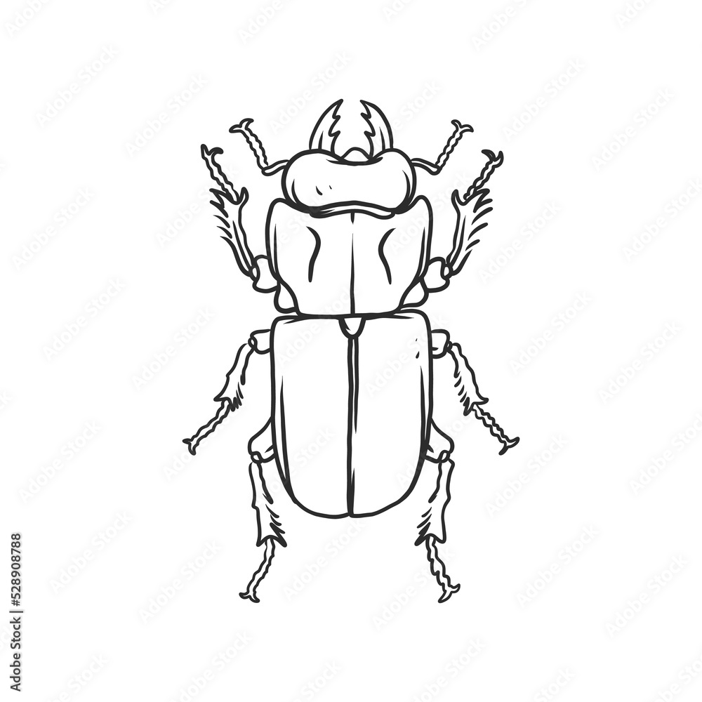 Naklejka premium horned beetle Insects and bug illustration
