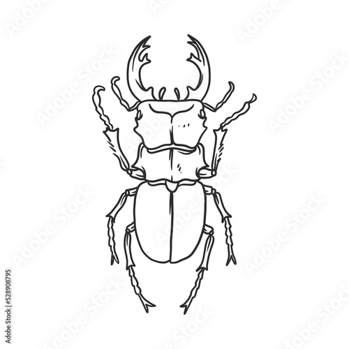 horned beetle Insects and bug illustration © freeject.net