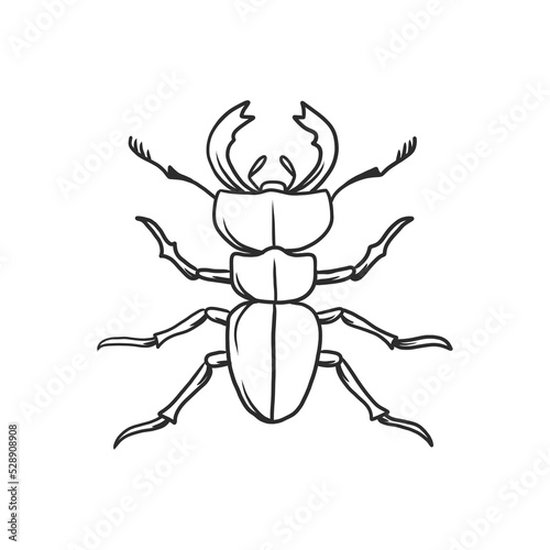 horned beetle Insects and bug illustration © freeject.net