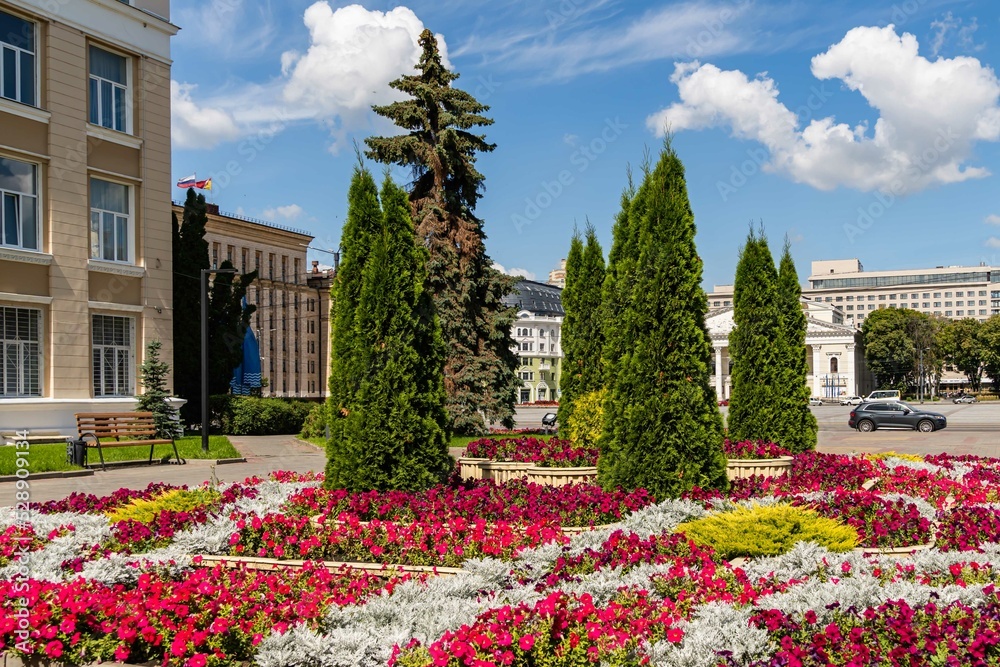 Beautiful flowerbed of purple and red flowers in city center. Evergreens grow in center of flower bed. In background is Opera and Ballet Theatre. Voronezh, Russia - July 30, 2022