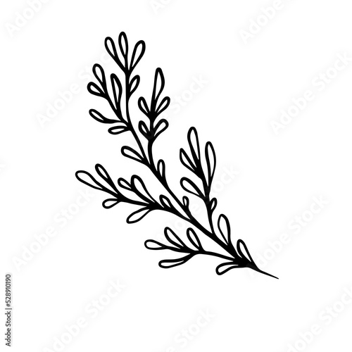 lavender hand drawn leaf and flower illustration, flower lineart isolated graphic elements for your design, floral line art for classic design