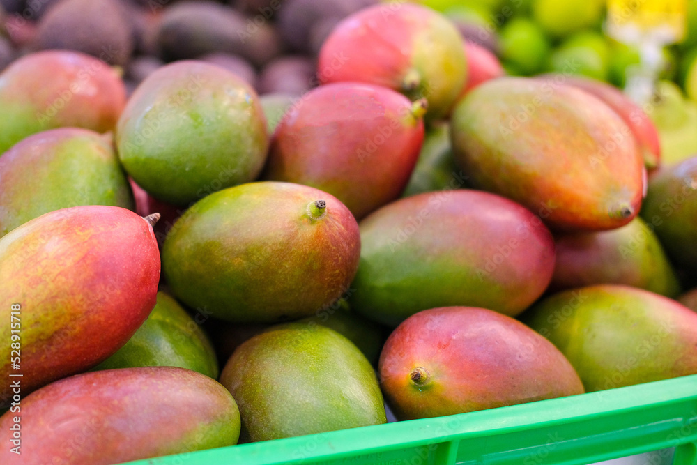 Fresh mangoes on the market. Lots of mangoes on the supermarket counter. Fruits, vitamins.