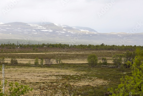 Foggy day in the Fokstumyra Nature Reserve , Norway photo