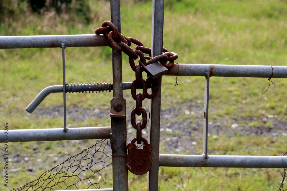 Old Rusting Chain and Padlocks on a Metal Farm Field Gate Old Rusting Chain and Padlocks on a Metal Farm Field Gate