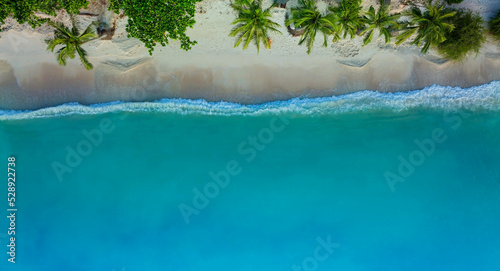 The Tropical  Summer palm trees beach and sandy beach and ocean with waves background © SASITHORN