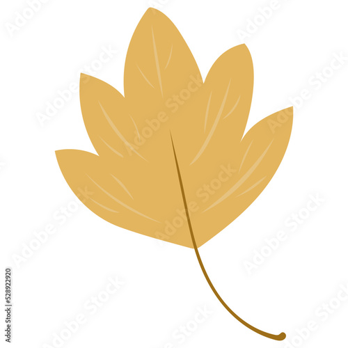 Herbst Laub