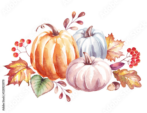 Pumpkins. Watercolor clipart