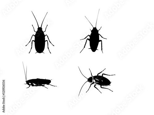 Vector cockroach stock vector. Illustration of disgusting for Free EPS © sahriar
