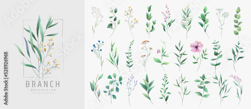 Set of luxury green leaves and flowers elements in watercolor style. Aquarelle trendy greenery branches and blooming. Vector isolated on white background for Invitation, greeting