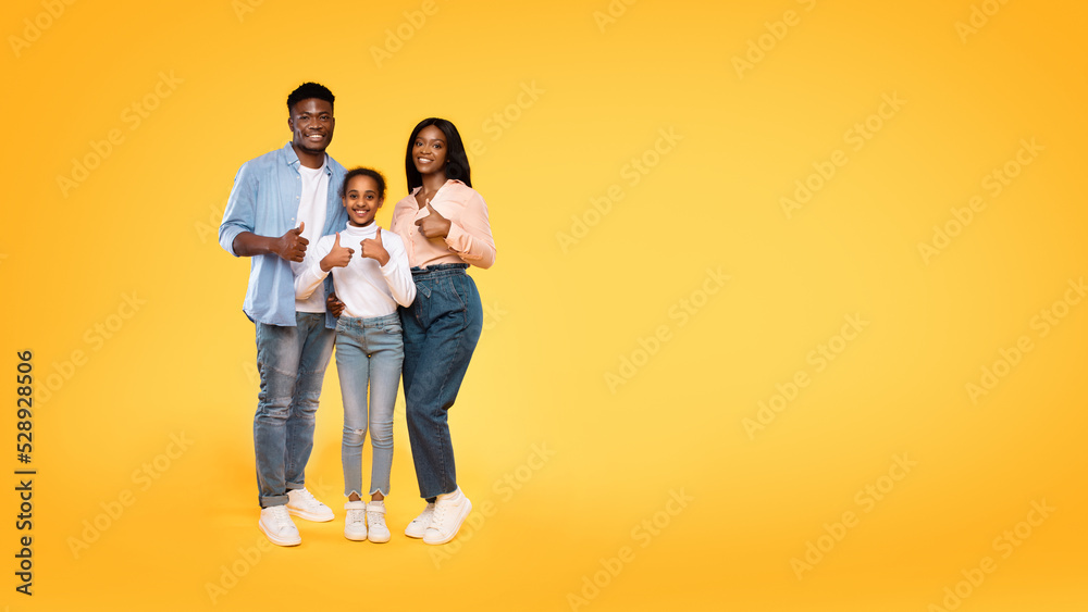 We like it. Excited african american family of three gesturing thumbs up, approving something, panorama with free space