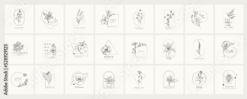 Fotografie, Obraz Set of minimal feminine botanical floral frame or logo with trendy flowers