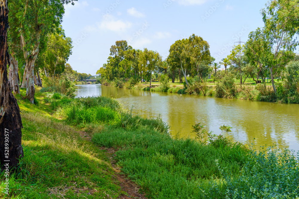 Fototapeta premium Yarkon river, and trees, in the Yarkon Park
